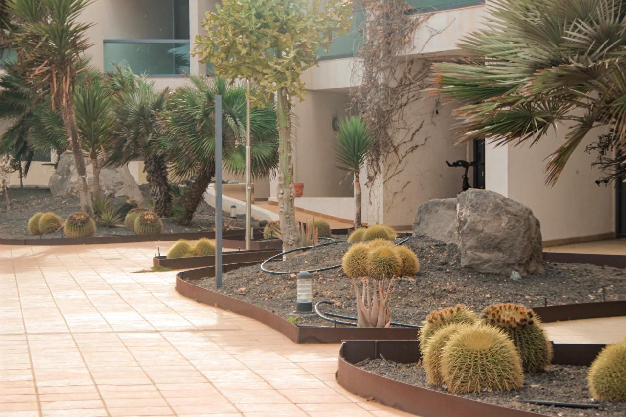 Casa Aloe Vera El Cotillo  Экстерьер фото